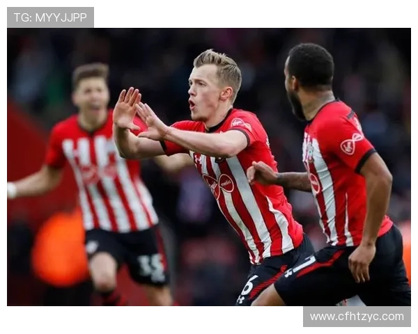 南安普顿足球俱乐部历史回顾与未来发展战略分析 南安普顿足球俱乐部历史回顾与未来发展战略分析