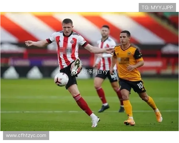 诺维奇足球俱乐部历史辉煌与未来发展潜力探析